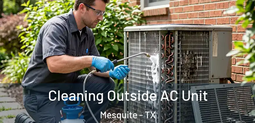 Cleaning Outside AC Unit Mesquite - TX